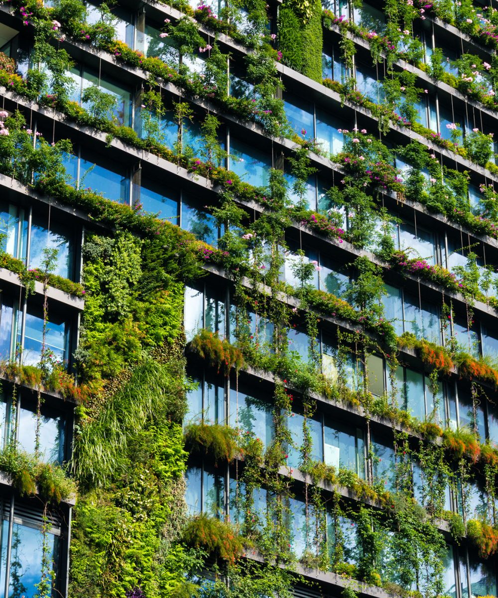 building-green-sustainable-certification.jpg